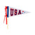 USA Felt Pennant Banner