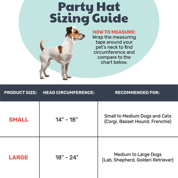 Pet Party Time Pink Party Hat with SnugFit®
