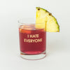 I Hate Everyone - Rocks Glass
