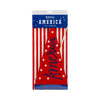 America Felt Pennant Banner