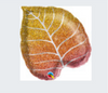 18” Fall Glitter Leaf Mylar Balloon