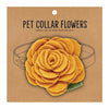 Medium Pet Collar Flower - Marigold