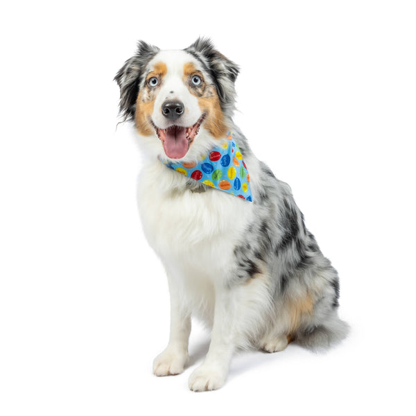 Pet Party Time Blue Bandana