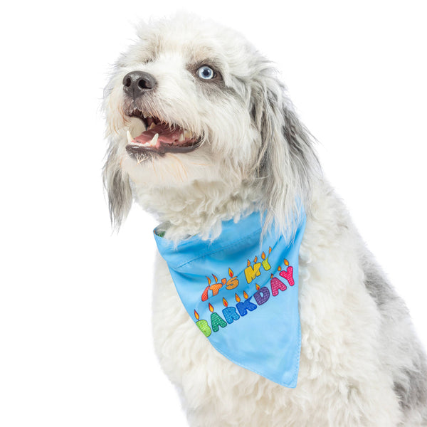 Pet Party Time Blue Bandana