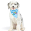 Pet Party Time Blue Bandana