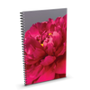 Sapori Art-inspired Lined Notebooks by Sapori - 13 Options