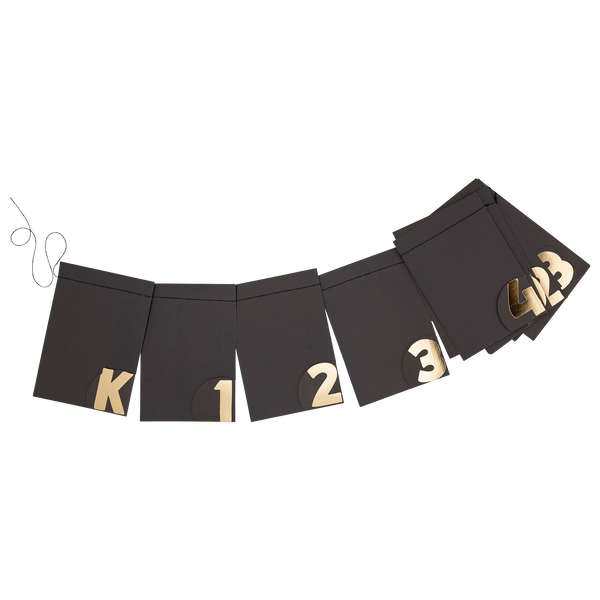 Grad Photo K-12 Banner