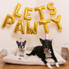 Pet Superstar Party Hat with SnugFit®