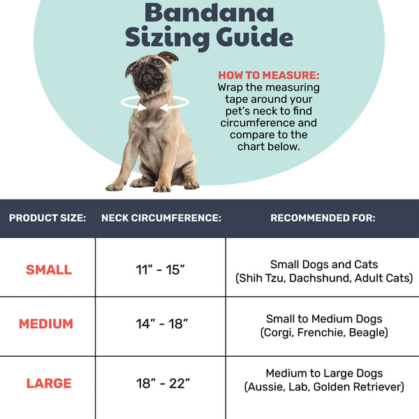 Pet Party Time Blue Bandana