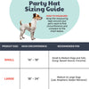 Pet Party Time Pink Party Hat with SnugFit®