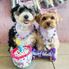 Pet Happy Barkday Cake Dog Toy