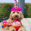 Pet Party Time Pink Party Hat with SnugFit®