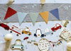 Car Pennant Banner