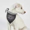 Pet Bandana - Got Treats?