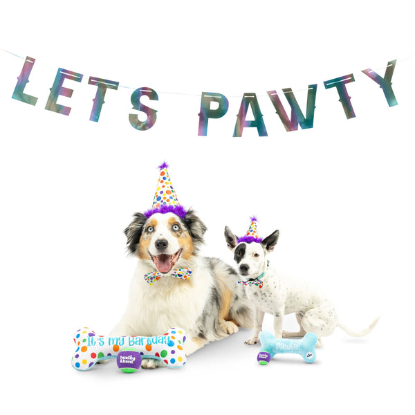 Pet Happy Barkday Celebration Box