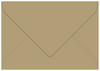Sapori Via Los Cabos Notecards