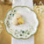 Botanical Garden Dinner Plates, 16pk