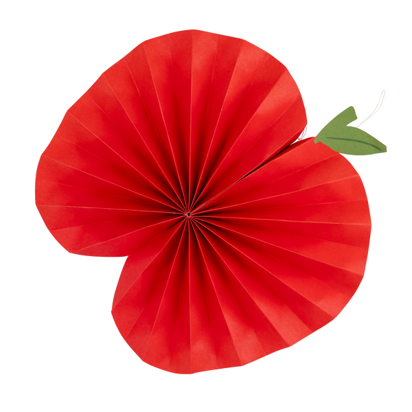 Back to School Fan Set