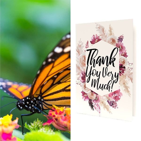 Thank You Very Much Greeting Card- Heirloom Wildflower Seeds