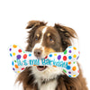 Pet It's My Barkday Bone Dog Toy (Double Sided)